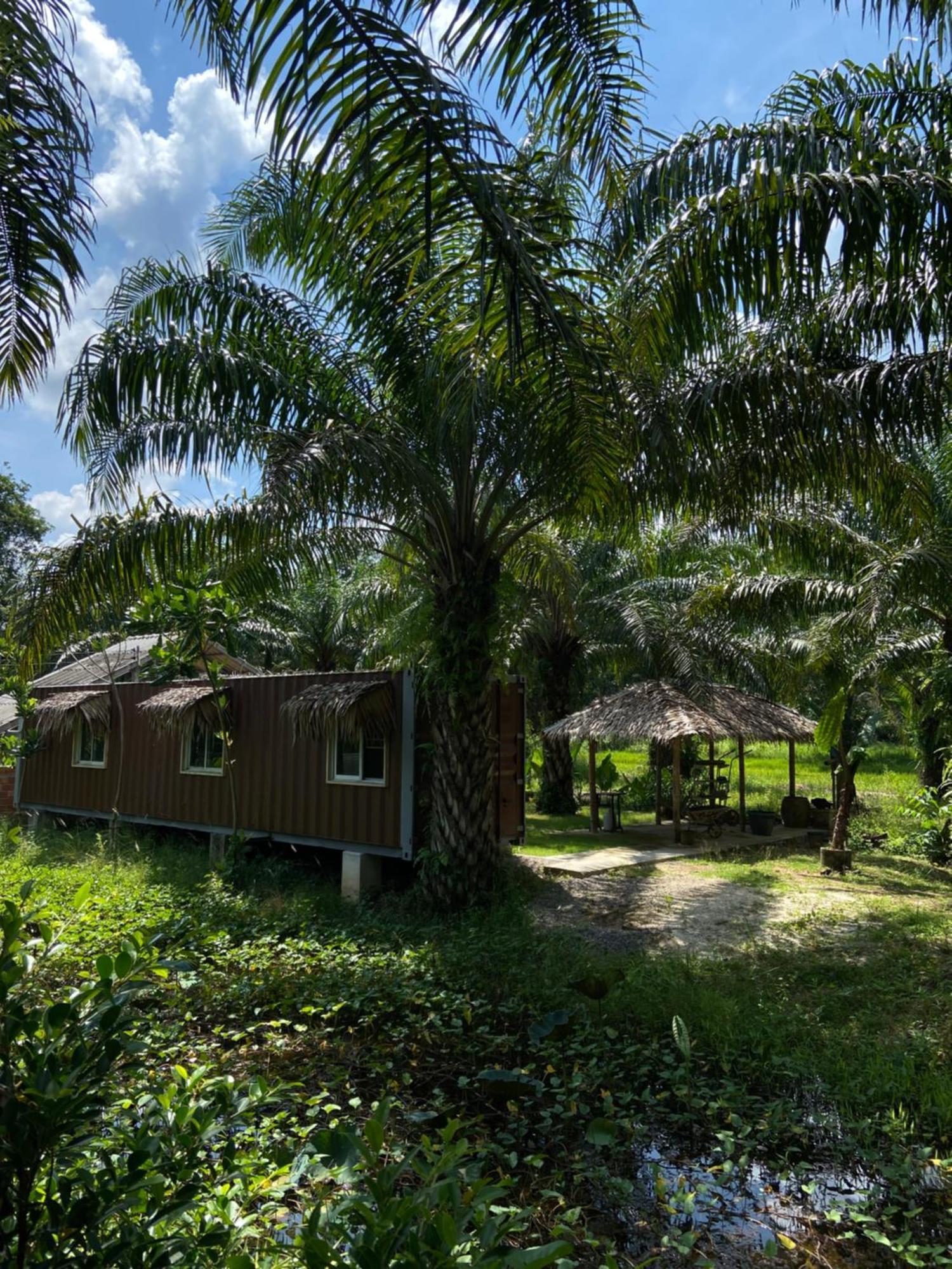 Forest Guesthouse Ban Don Muang  Eksteriør billede